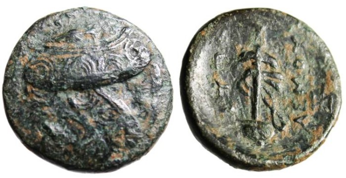 Oppinions-On-Some-Bronzes